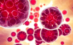 Phát hiện trăn khổng lồ phía sau nhà, cả làng sững sờ - Ảnh 2.