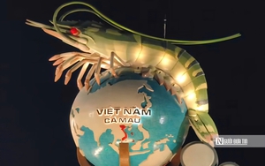 Kh&aacute;m ph&aacute; Mũi C&agrave; Mau: Điều g&igrave; khiến nơi tận c&ugrave;ng Tổ quốc trở n&ecirc;n kh&aacute;c biệt?- Ảnh 22.