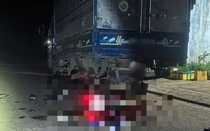 Phát hiện hai cá thể khỉ quý hiếm đi lạc, người dân chủ động giao nộp - Ảnh 3.