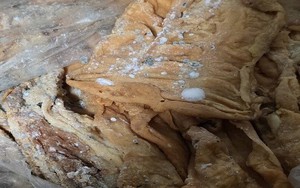 Hành trình hơn 19 giờ kết nối xuyên quốc gia giải cứu nạn nhân bị bắt cóc, đánh đập - Ảnh 3.