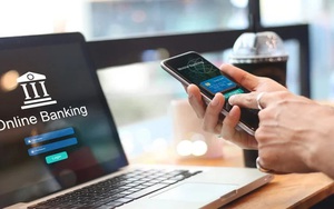 Bắt tạm giam quản l&yacute; cấp cao của tổ chức tội phạm xuy&ecirc;n quốc gia- Ảnh 4.