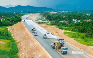 Phát hiện 2 xe tải chở 7,2 tấn heo nghi nhiễm dịch tả heo châu Phi- Ảnh 5.