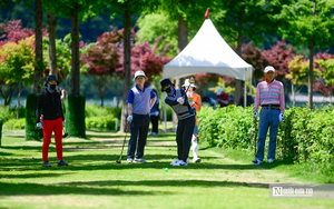 Tuyến huyết mạch ra Mũi N&eacute; dần &ldquo;thay &aacute;o mới&rdquo;, phấn đấu ho&agrave;n th&agrave;nh trước Tết- Ảnh 8.