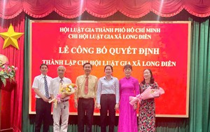 Hội Luật gia Tp.Hải Ph&ograve;ng ph&aacute;t huy vai tr&ograve; "cầu nối" đưa ph&aacute;p luật m&ocirc;i trường v&agrave;o cuộc sống- Ảnh 3.