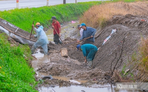 Nỗi lo &ldquo;tr&uacute;ng m&ugrave;a, hụt l&atilde;i&rdquo; của n&ocirc;ng d&acirc;n vụ Đ&ocirc;ng Xu&acirc;n- Ảnh 4.