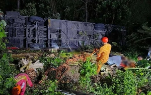 &Ocirc; t&ocirc; đ&acirc;m v&agrave;o gốc c&acirc;y, 4 người tr&ecirc;n xe tử vong thương t&acirc;m- Ảnh 3.