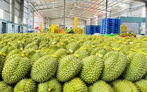 Giá xăng tăng - Ảnh 2.