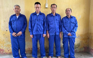 V&igrave; sao Gi&aacute;m đốc c&ocirc;ng ty tổ chức chương tr&igrave;nh "Về đ&acirc;y bốn c&aacute;nh chim trời" bị bắt?- Ảnh 1.