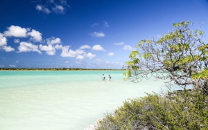 M&atilde;n nh&atilde;n với m&agrave;n ph&aacute;o hoa ch&agrave;o đ&oacute;n năm mới của New Zealand - Ảnh 2.