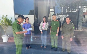 Khởi tố "nữ qu&aacute;i" cầm đầu đường d&acirc;y mua b&aacute;n h&oacute;a đơn tr&aacute;i ph&eacute;p hơn 200 tỷ đồng - Ảnh 3.