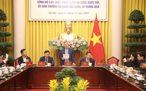 Quyết t&acirc;m chấm dứt t&igrave;nh trạng "luật chờ nghị định" - Ảnh 5.