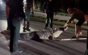 Cô gái sốc nặng khi phát hiện bị quay lén hàng trăm clip riêng tư trong phòng ngủ - Ảnh 4.