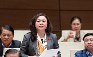 Bộ Xây dựng trả lời kiến nghị tăng mức phạt, có thể hình sự hóa vi phạm về đất đai, trật tự xây dựng - Ảnh 3.