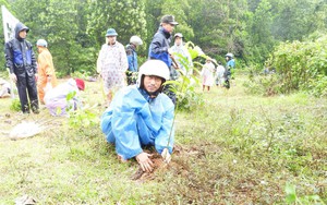 Người đàn ông 9X bỏ “trời tây” về quê khởi nghiệp tạo ra đặc sản mang hương vị hồn quê - Ảnh 11.