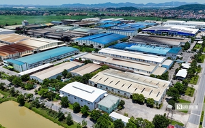 Nghệ An hấp dẫn nhà đầu tư ngoại, FDI vươn lên top đầu cả nước- Ảnh 5.
