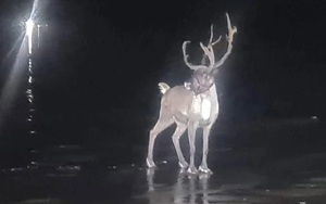 Mẹ và bà bị bắt sau khi camera ghi lại cảnh rùng rợn về bé gái 2 tuổi - Ảnh 3.