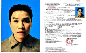 Công an tỉnh Hưng Yên kêu gọi Đặng Thị Huệ ra đầu thú - Ảnh 2.