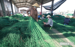 N&ocirc;ng d&acirc;n l&agrave;ng hoa lớn nhất xứ Nghệ hối hả v&agrave;o vụ Tết- Ảnh 10.