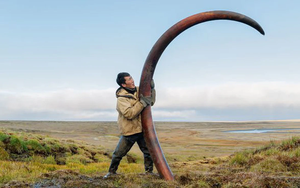 Nghề lạ "đi làm như đi chơi" tháng kiếm trăm triệu, nghe thôi đã muốn đi làm - Ảnh 4.