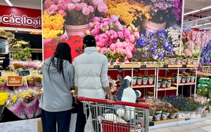 Cận kề Valentine, thị trường hoa và chocolate 