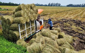 Agritechnica Asia 2025: Cơ hội thúc đẩy nông nghiệp xanh tại Việt Nam