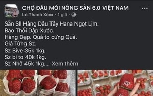 Tìm bị hại trong vụ “chủ vựa hoa quả” lừa tiền cọc