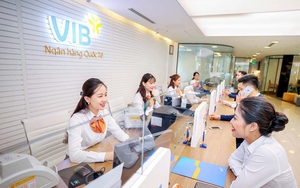 VIB đặt mục tiêu lãi trước thuế hơn 11.000 tỷ đồng năm 2025