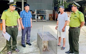 Cứu hộ 14 cá thể động vật hoang dã, bảo vệ nghiêm ngặt đàn cò quý hiếm tại Quảng Bình