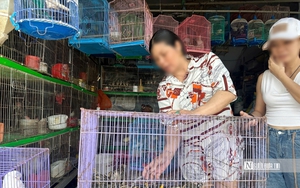 Tây Ninh mở chiến dịch truy quét những "bẫy ngầm" tận diệt động vật hoang dã- Ảnh 8.