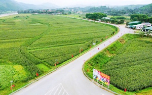 Hà Tĩnh sẽ có bao nhiêu đơn vị cấp xã không sáp nhập?