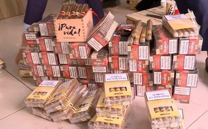 Hà Nội: Tạm giữ 1.500 điếu cigar nghi nhập lậu
