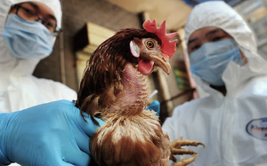 Cúm biến chứng nặng bùng phát ở miền Bắc, bác sĩ cảnh báo không tự điều trị tại nhà - Ảnh 5.