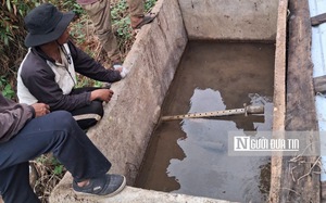 Theo d&otilde;i s&aacute;t diễn biến x&acirc;m mặn, T&acirc;y Ninh chủ động ứng ph&oacute; m&ugrave;a kh&ocirc;- Ảnh 5.