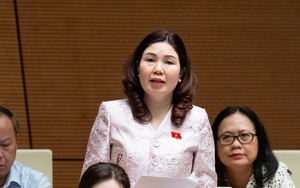 Đại biểu chỉ ra 