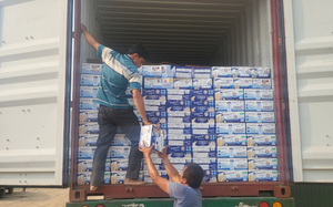 Khởi tố, bắt tạm giam nữ cán bộ hải quan tiếp tay buôn lậu sữa