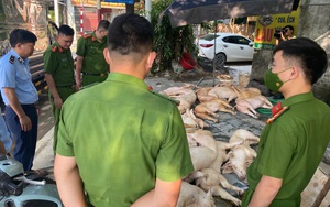 Vĩnh Phúc: Phát hiện, xử lý gần 800kg thịt lợn bốc mùi hôi thối tại nhà hàng