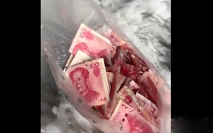 Công nhân sốc nặng khi tìm thấy tiền mặt trong đống bông tái chế