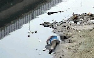 Thông tin mới vụ phát hiện thi thể nam giới trên sông Tô Lịch