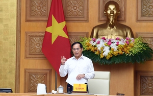 Cao điểm truy quét hàng giả: Tiến hành kiểm tra ngay khi người dân có phản ánh