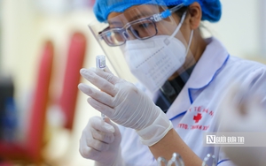 3 học sinh lớp 12 mắc COVID-19 tại một trường THPT ở Bà Rịa – Vũng Tàu- Ảnh 4. Đề xuất bổ sung hơn 4.000 tỷ đồng quyết toán hàng viện trợ phòng chống Covid-19