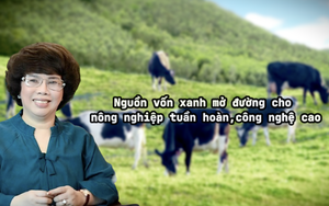 Nguồn vốn xanh mở đường cho nông nghiệp tuần hoàn, công nghệ cao