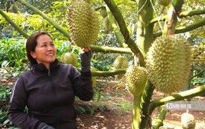 Doanh nghiệp hiến kế 