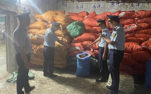 Phát hiện gần 8 tấn chân gà không rõ nguồn gốc đang chờ tiêu thụ