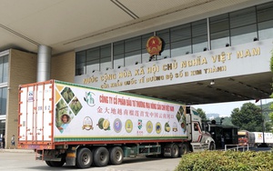 Nâng tầm nông sản Đồng Nai – Kỳ 1: Rộng đất, dày tiềm năng nhưng chưa “hóa vàng"- Ảnh 7.