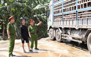 Bắt 18 tấn lợn nhiễm dịch tả châu Phi đi tiêu thụ