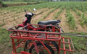 Đi xe máy trên cánh đồng mía, người đàn ông 61 tuổi bị sét đánh tử vong