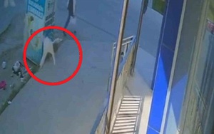 Bé gái bất ngờ rơi từ ban công tầng 5 xuống vỉa hè