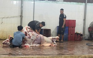 Lập biên bản 2 cơ sở mổ bò, heo 