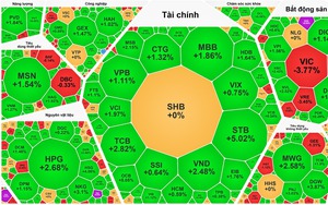 Bộ 3 ngân hàng - chứng khoán - thép kéo tăng VN-Index