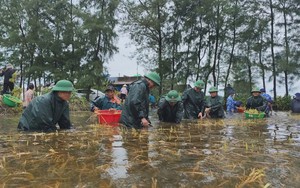 VIDEO: Biên phòng Quảng Trị bắt nhóm đối tượng tổ chức cho người khác xuất cảnh trái phép- Ảnh 2.